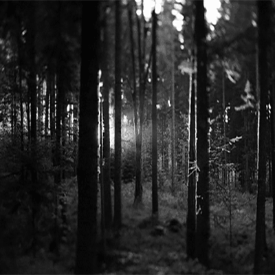 Alexandra Vivet - miniature du projet motion design halloween
