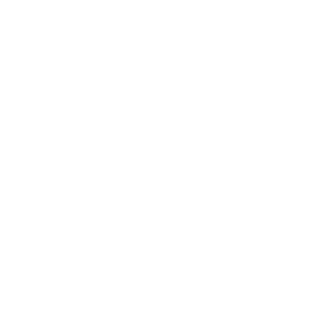 logo alexandra vivet